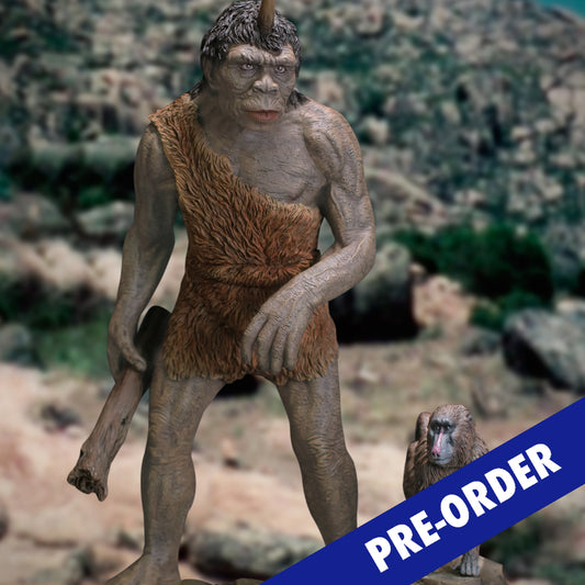 Troglodyte DX