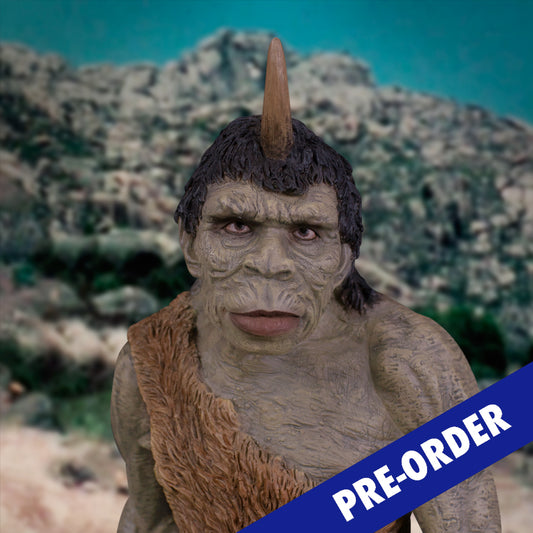 Troglodyte NX