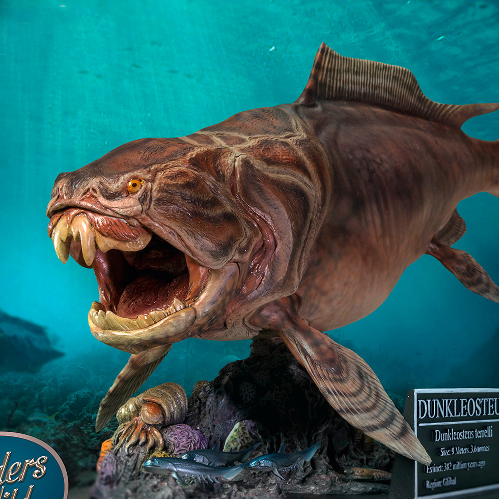 Dunkleosteus(DX Ver) with Fossil Replica