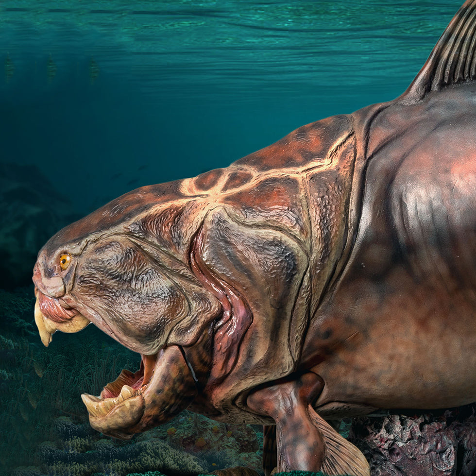 Dunkleosteus(NX Ver)