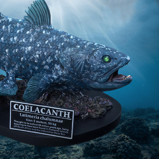 Coelacanth(DX Ver)